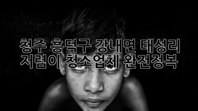 ✨ 청주 흥덕구 강내면 태성리 ✨ 저렴이 청소업체 완전정복 🧹