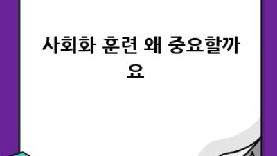 🐶 늦지 않았어요! 강아지 사회화 훈련 성공 가이드 🐾