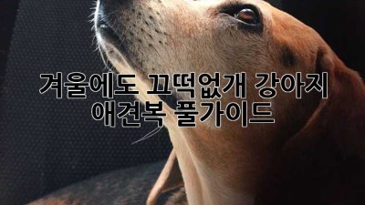 겨울에도 끄떡없개🐶! 강아지 애견복 풀가이드🐾